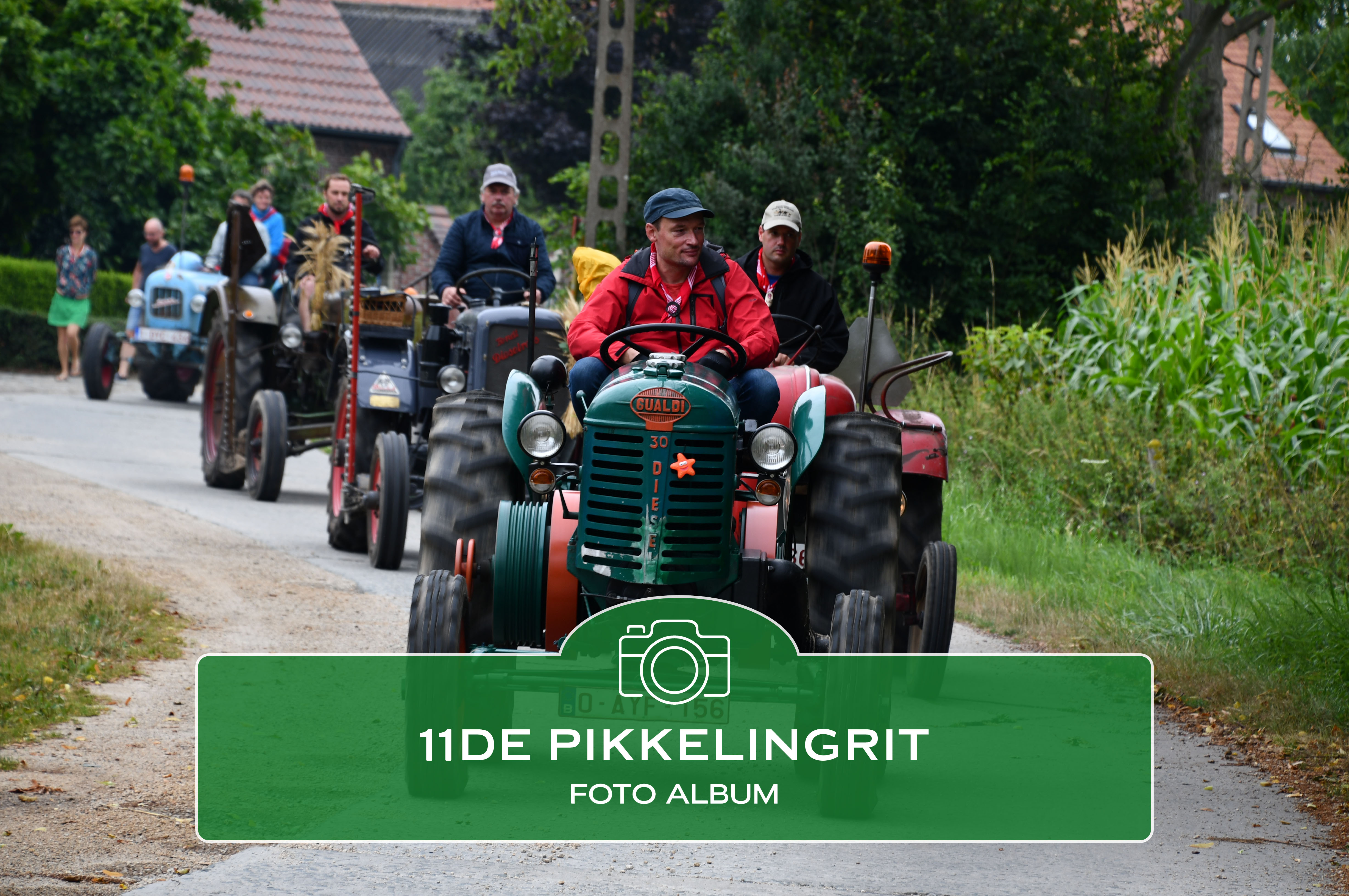 11de pikkelingrit